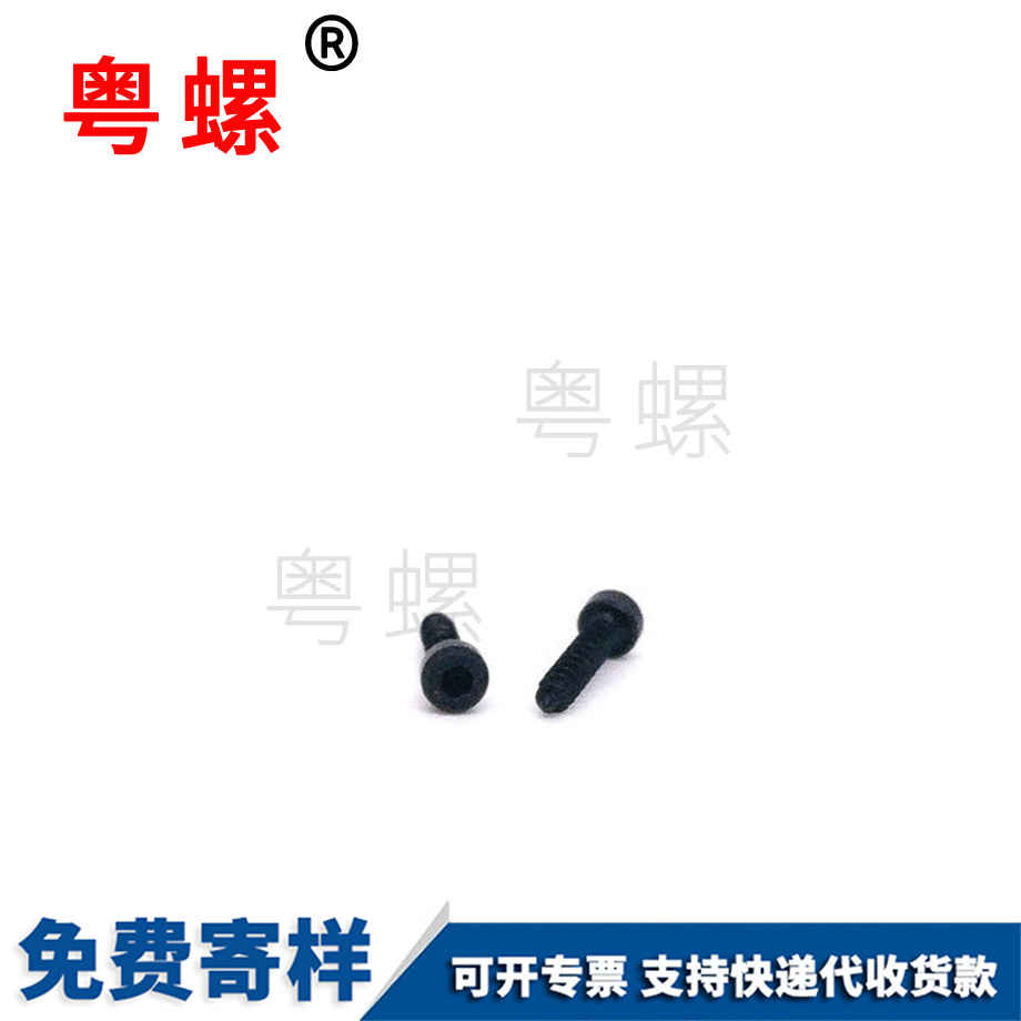 批發(fā)杯頭內(nèi)角秦皇島自攻螺絲