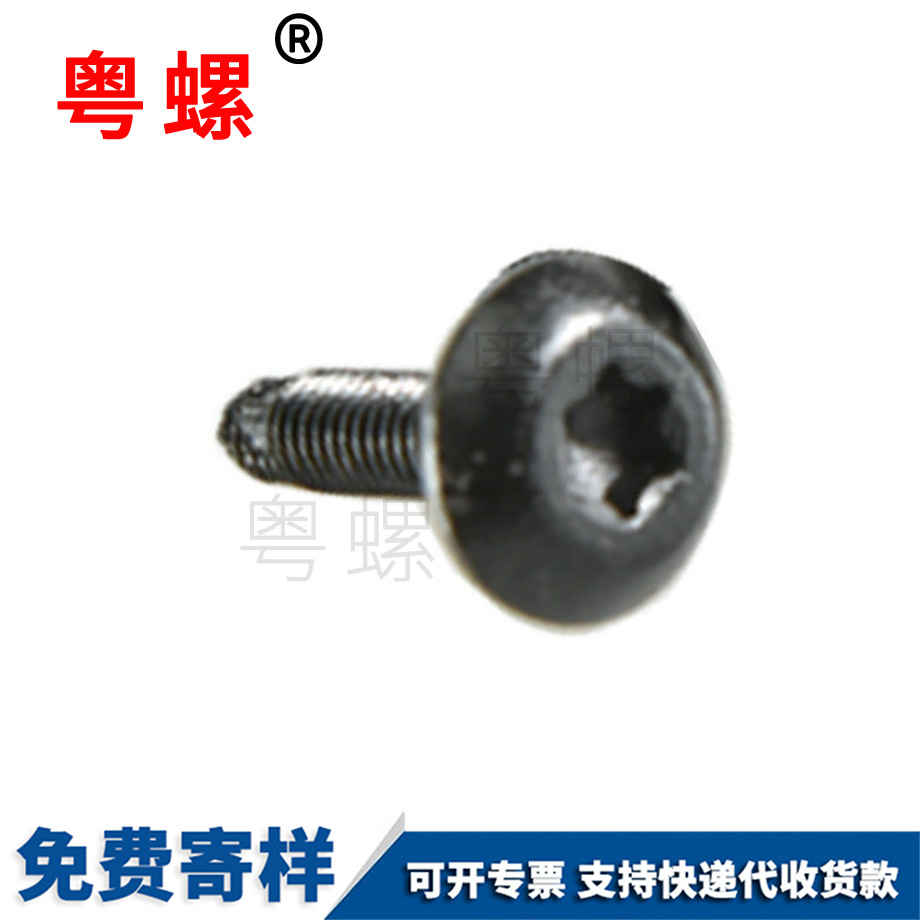 生產(chǎn)異形西藏非標螺絲