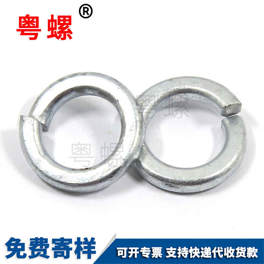 熱鍍鋅西藏彈墊圈
