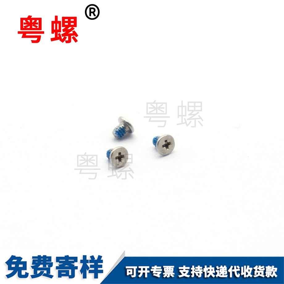 不銹鋼昌都電子螺絲