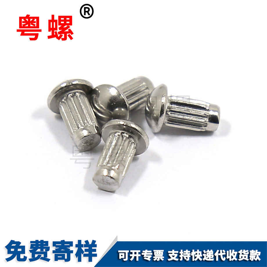 秦皇島04秦皇島標(biāo)牌鉚釘