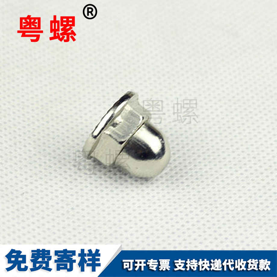 定做法蘭西藏蓋形螺母