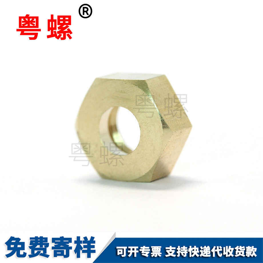 智能家用拖地機(jī)西藏六角西藏銅螺母